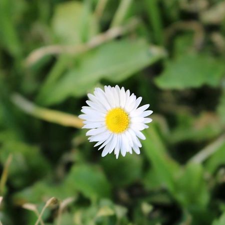 Il Fienile Nella Roccia Vendégház Casole dʼElsa Kültér fotó